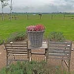 Christinahoeve Hooiberg #5 * Boskoop