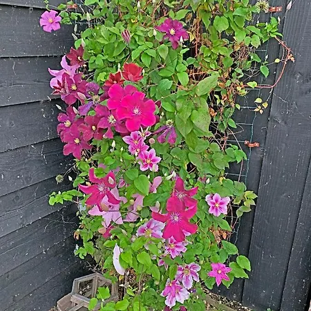 公寓 Christinahoeve Hooiberg #5 *