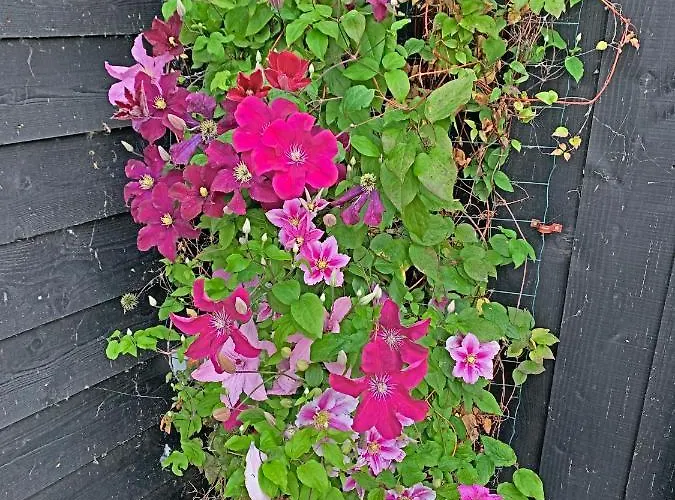 Apartamento Christinahoeve Hooiberg #5 *